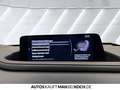 Mazda CX-30 2.0 L M. HYBRID 6GS Homura LED Navi Klima Rot - thumbnail 28