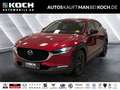 Mazda CX-30 2.0 L M. HYBRID 6GS Homura LED Navi Klima Rot - thumbnail 1
