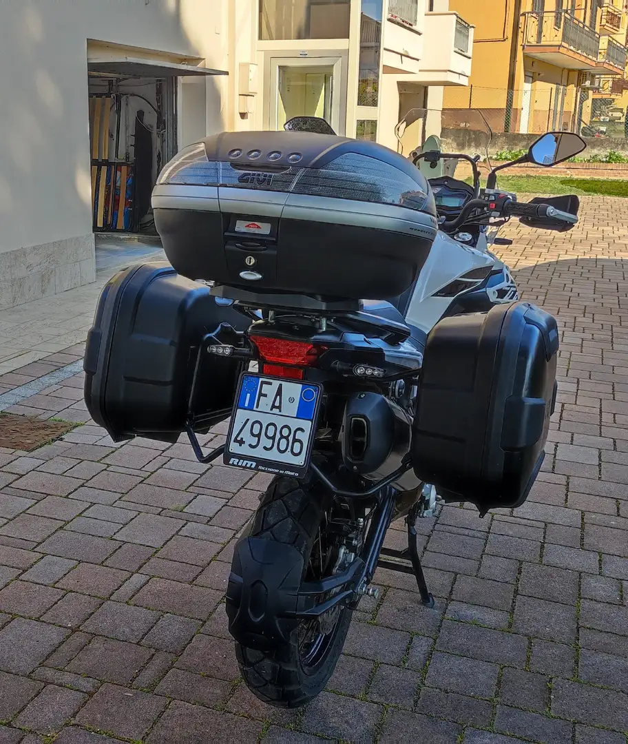 Benelli TRK 502 X Bianco - 1