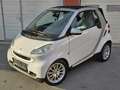 smart forTwo smart fortwo cabrio passion *Pickerl NEU * Weiß - thumbnail 1