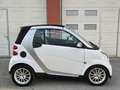smart forTwo smart fortwo cabrio passion *Pickerl NEU * Weiß - thumbnail 3