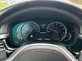 BMW M550 i xDrive/Digitaltacho/Carplay/Kamera/Navi/Ambient Weiß - thumbnail 22