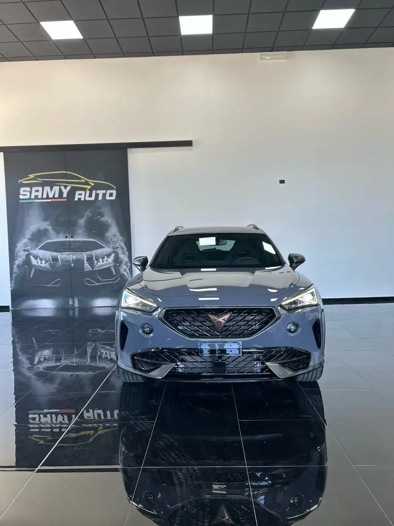 CUPRA Formentor 2.0 tsi 4drive 190cv dsg Gris - 1