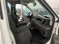 Ford Transit 350 2.0TDCi HDT 130CV RWD PL-RG Cab.Trend Bianco - thumbnail 9