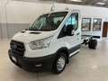 Ford Transit 350 2.0TDCi HDT 130CV RWD PL-RG Cab.Trend Bianco - thumbnail 1