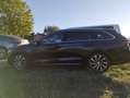 Skoda Octavia Octavia Combi 2,0 TDI DSG Anhängevorr. ACC,18 Zoll Alu Schwarz - thumbnail 7