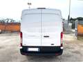 Ford Transit TRANSIT FIGO -20° 2.0 130CV Blanc - thumbnail 6