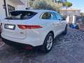 Jaguar F-Pace F-Pace 2019 2.0d i4 Pure awd 180cv auto my20 Bianco - thumbnail 3