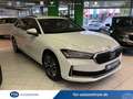 Skoda Superb Combi 2.0 TDI Selection DSG AHK MATRIX RFK NAVI A Wit - thumbnail 1