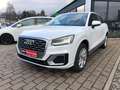 Audi Q2 sport Navi DSG LED SHZ Weiß - thumbnail 2
