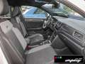Volkswagen T-Roc R-Line 2.0 TSI 4MOTION DSG +KLIMA+NAVI+19´ Blanc - thumbnail 6