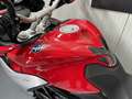 MV Agusta Turismo Veloce 800 Edition One - thumbnail 15