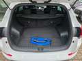 Hyundai TUCSON 1.6 Passion blue, AHK, Totwinkel, Navi, Kamera, Si Bianco - thumbnail 23