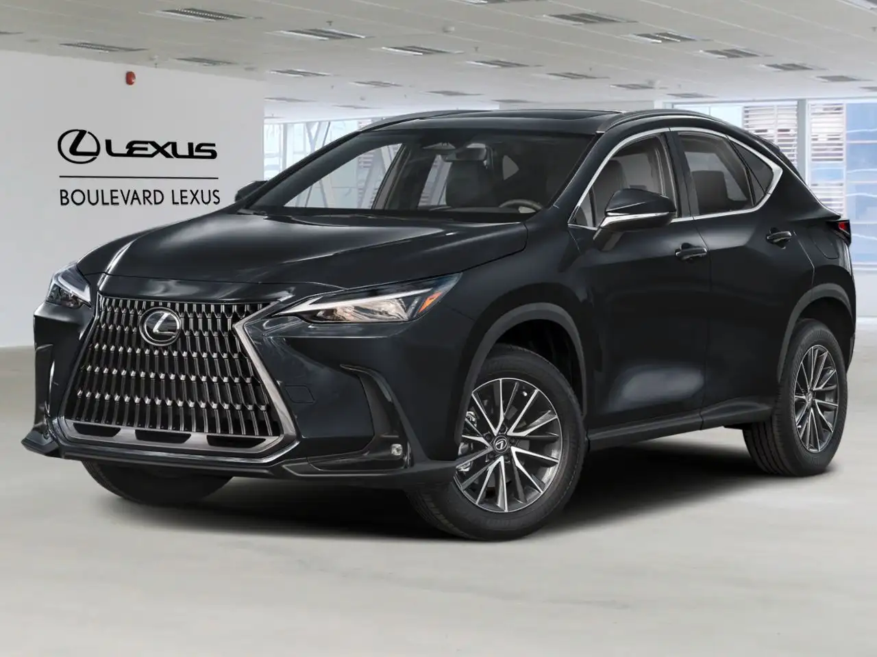 2024 Lexus NX