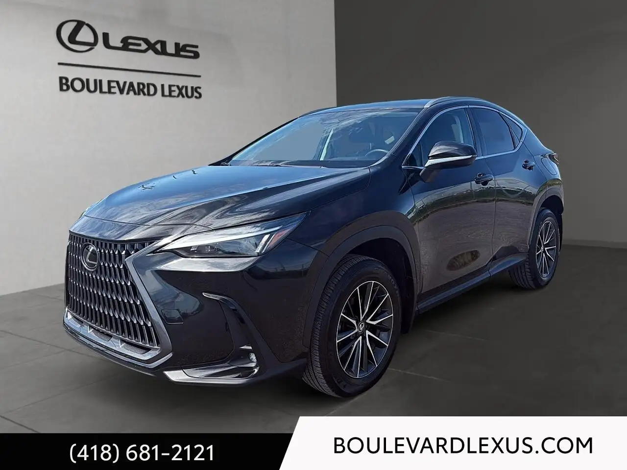 2024 Lexus NX
