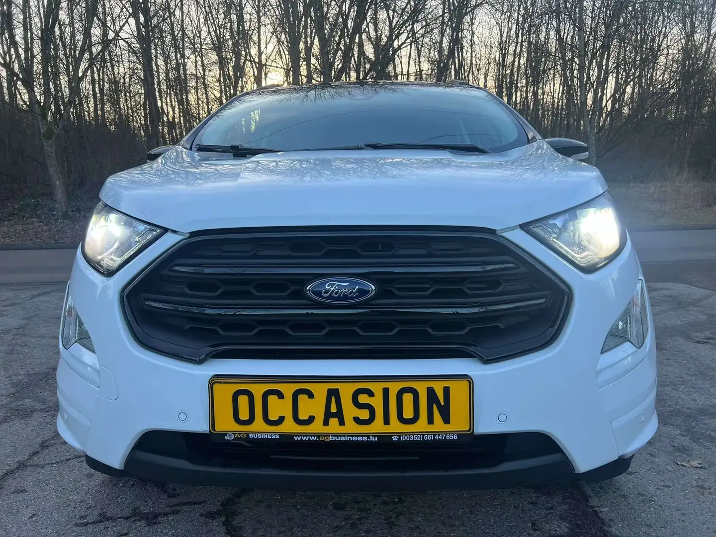 Ford EcoSport 1.0 ST-LINE EcoBoost Titanium Navi Camera Jante Biały - 2