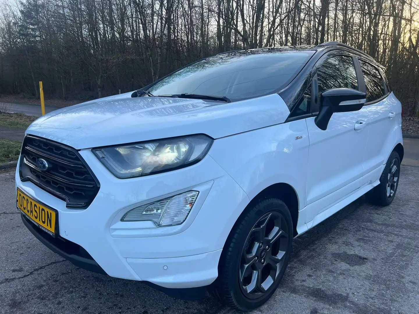 Ford EcoSport 1.0 ST-LINE EcoBoost Titanium Navi Camera Jante Biały - 1