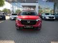 Honda CR-V 2.0 e:HEV ADVANCE  STYLE AWD LEDER+HEADUP Rouge - thumbnail 4