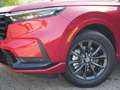 Honda CR-V 2.0 e:HEV ADVANCE  STYLE AWD LEDER+HEADUP Rouge - thumbnail 3