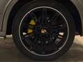 Porsche Cayenne Cayenne 3.0 D V6 Platinum EditionTiptronic S Grau - thumbnail 18