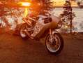 Ducati Paul Smart 1000 Gris - thumbnail 2