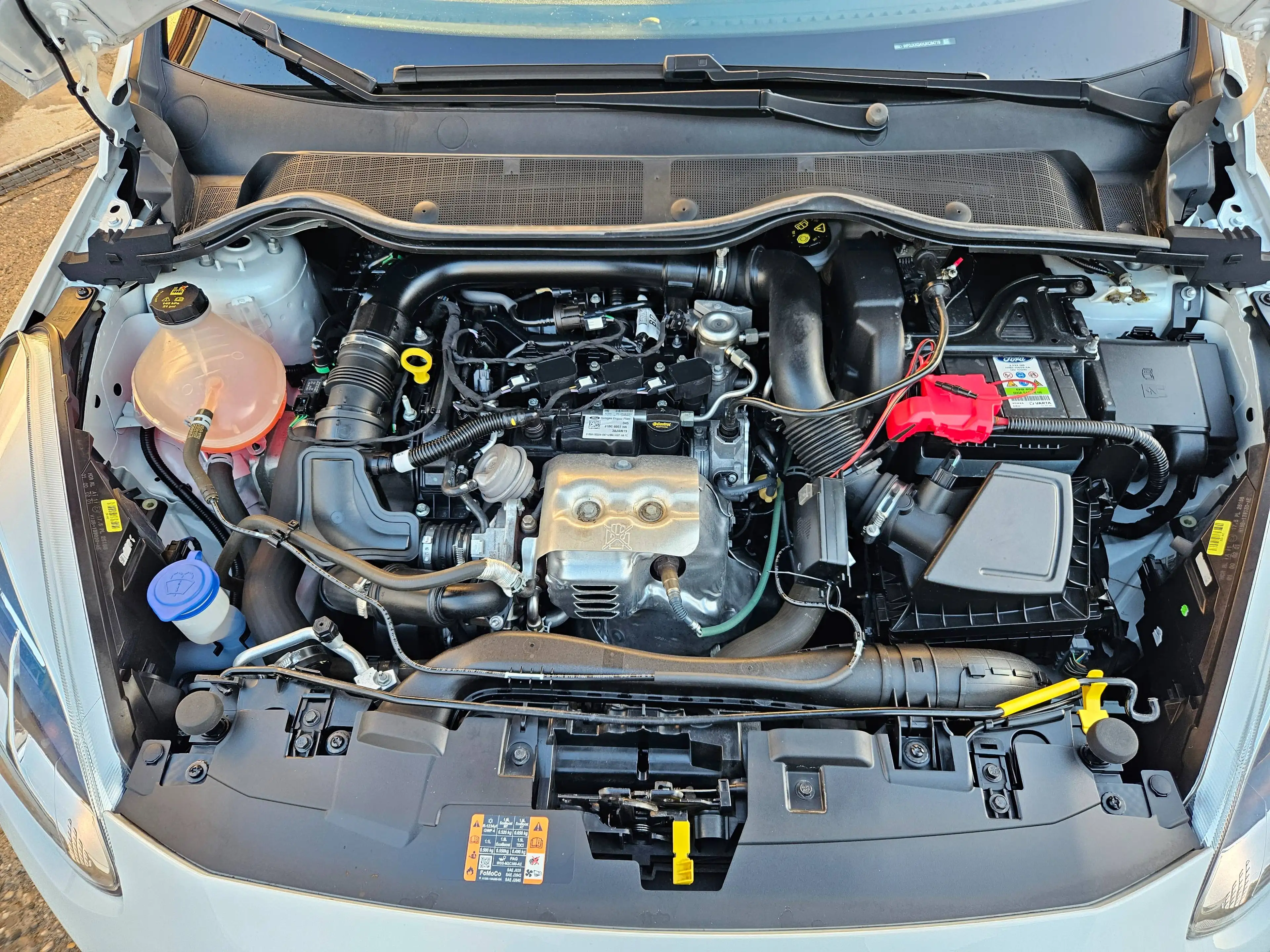 Ford Fiesta ST-Line — photo 8