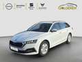 Skoda Octavia Combi 2.0 DPF EU6d COMBI Ambition 110 kW TDI DSG Blanc - thumbnail 1