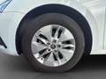 Skoda Octavia Combi 2.0 DPF EU6d COMBI Ambition 110 kW TDI DSG Blanc - thumbnail 16