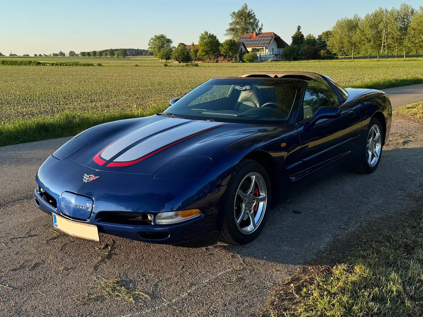 Chevrolet Corvette C5 Commemorative Edition #32 6-Gang Schalter Azul - 2