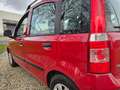 Fiat Panda 1.2 Edizione Cool AUTOMAAT Rood - thumbnail 14
