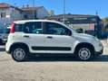 Fiat Panda AUTOCARRO N1 4 POSTI Panda 1.0 hybrid Blanc - thumbnail 8