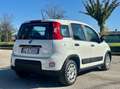 Fiat Panda AUTOCARRO N1 4 POSTI Panda 1.0 hybrid Blanc - thumbnail 10