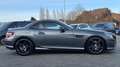 Mercedes-Benz SLK 300 KLIMA,SITZHEIZUNG,PDC,LEDER Gris - thumbnail 4