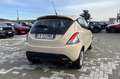 Lancia Ypsilon 1.2 69cv Elefantino Beige - thumbnail 8