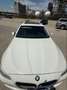 BMW 520 Serie 5 F11 Touring 520d Touring Futura Bianco - thumbnail 12