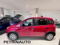 Fiat Panda 1.0 FireFly S&S Hybrid Pack City+Kit 5p Km.0 Rood - thumbnail 5