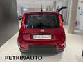 Fiat Panda 1.0 FireFly S&S Hybrid Pack City+Kit 5p Km.0 Rood - thumbnail 7