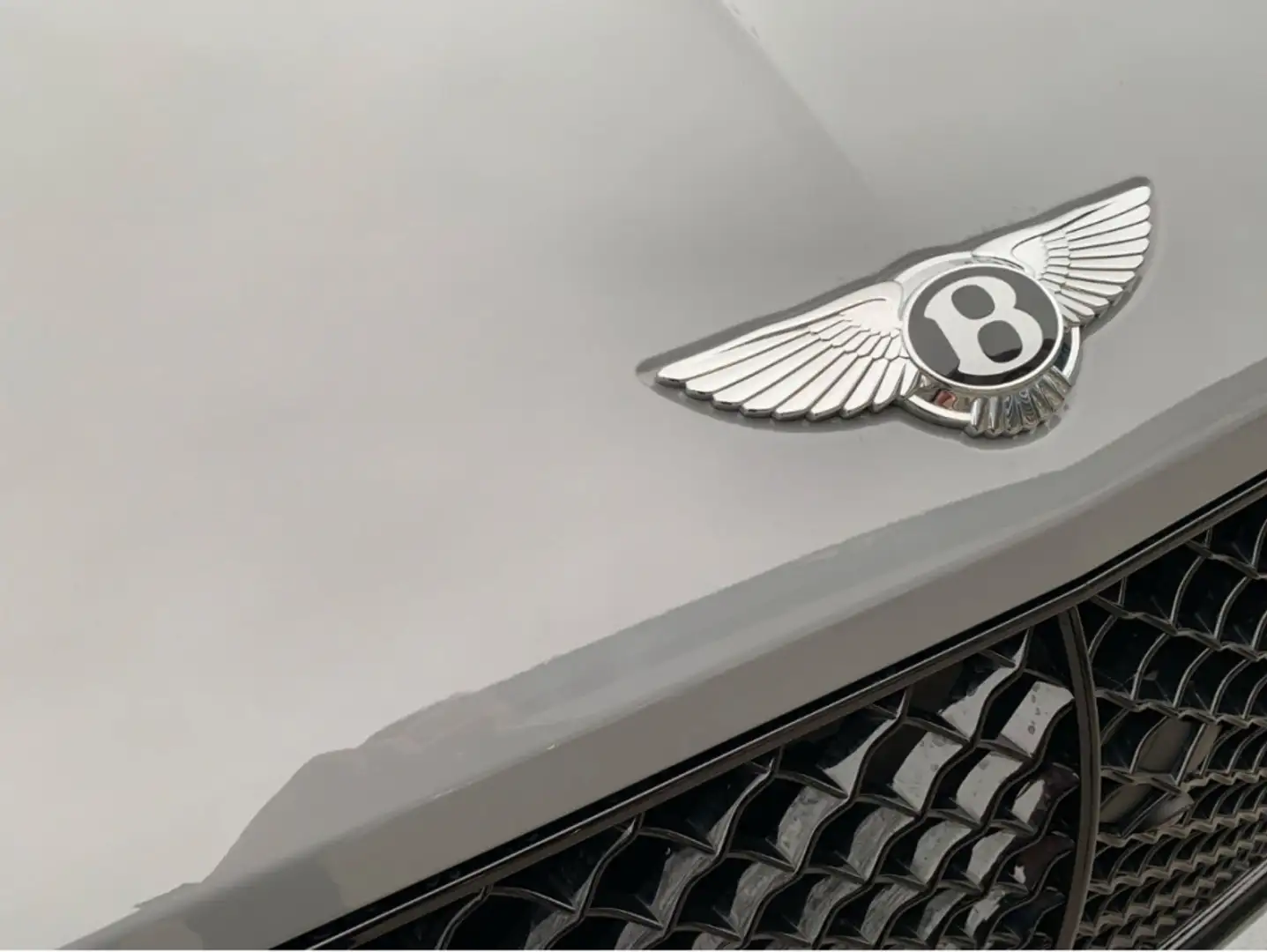 Bentley Continental V8 GT Gris - 1