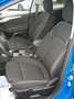Ford Focus Titanium X  Aut. Head-Up+Sync4+ACC Blau - thumbnail 10