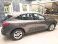 Ford Kuga 1.5 dci St-Line 2wd Grigio - thumbnail 7