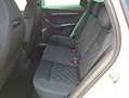 Skoda Karoq Sportline 5J. Garantie AHK Sound Amundsen Matri... Grau - thumbnail 40