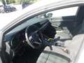 Volkswagen Golf GTE GTE eHybrid Weiß - thumbnail 8