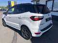 Ford EcoSport 1.0 EcoBoost 125 CV Start&Stop ST-Line Plus Blanc - thumbnail 7