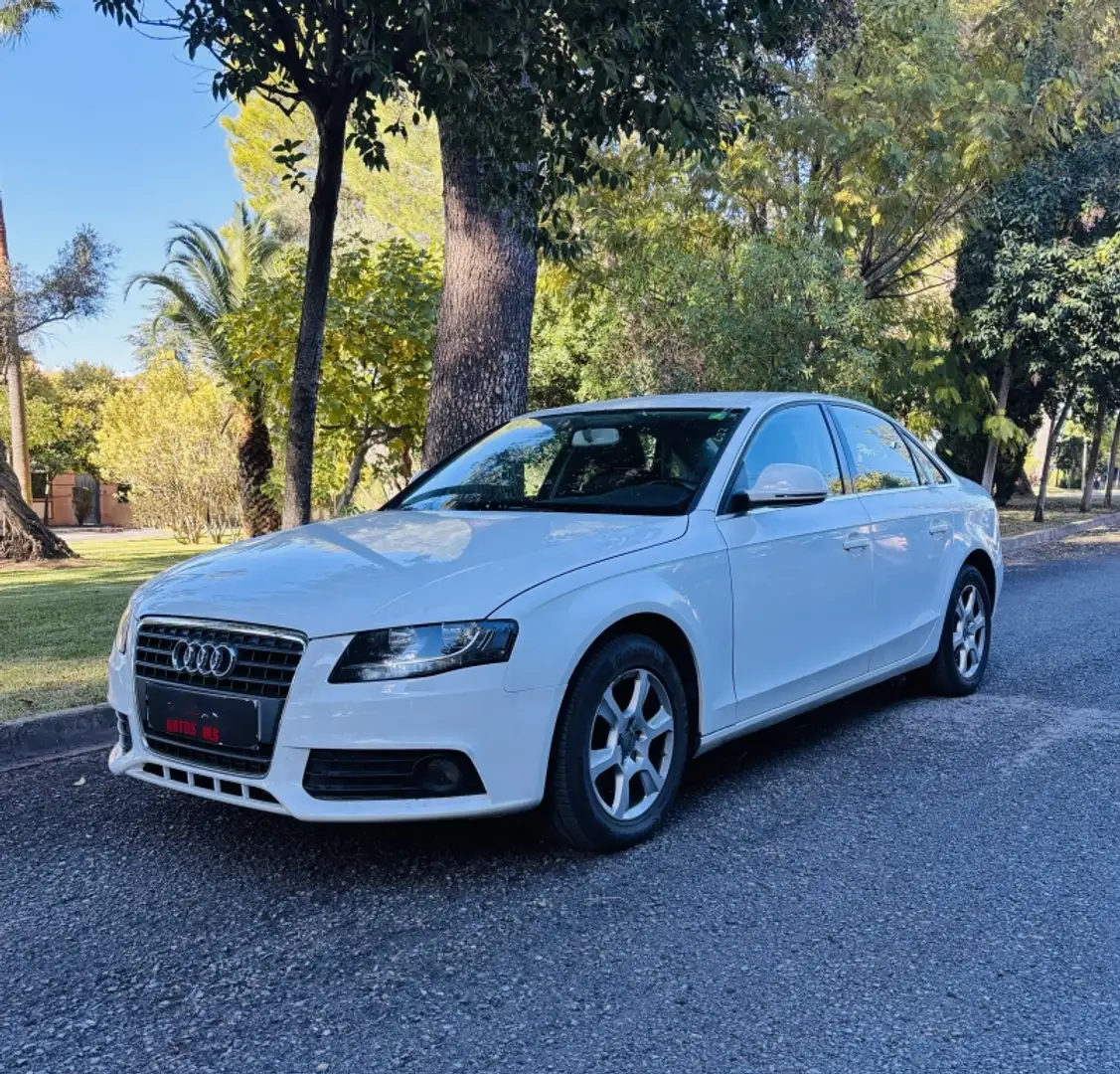 Audi A4 2.0TDI quattro DPF 143 - 2