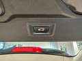 BMW X5 xdrive30d Luxury - Camera - Sosp Adattive - ACC Grau - thumbnail 32