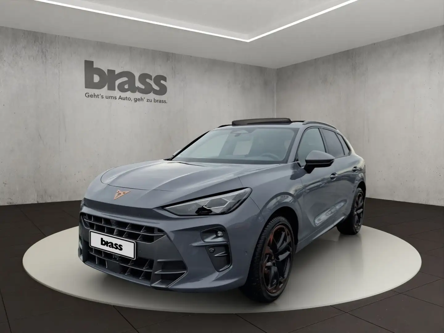 CUPRA Terramar VZ 2.0 TSI 195kW (265 PS) 7-Gang DSG Grau - 1