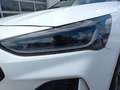 Ford Focus ST-LINE X Kombi 115PS EcoBlue/Diesel Automatik ... Weiß - thumbnail 7