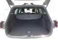 Ford Focus ST-LINE X Kombi 115PS EcoBlue/Diesel Automatik ... Weiß - thumbnail 10