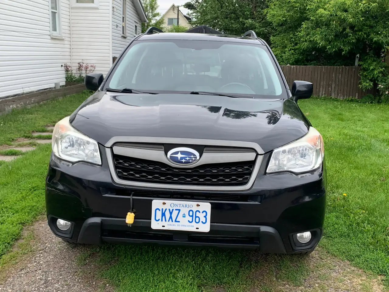 Subaru Forester photo Subaru Forester