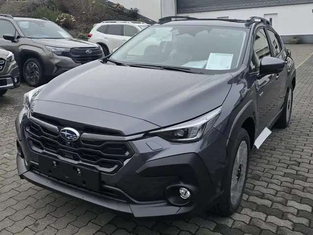 Subaru Crosstrek Crosstrek 2.0ie Platinum Modell 25
